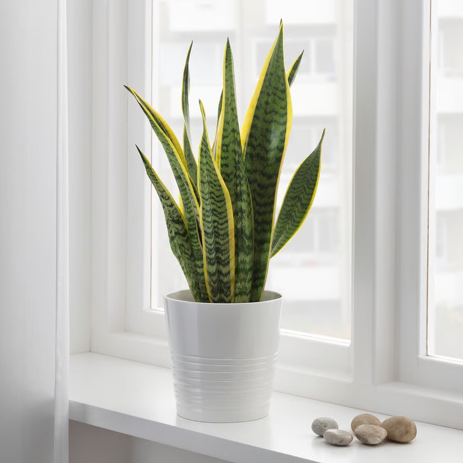IKEA_RADNI KUTAK