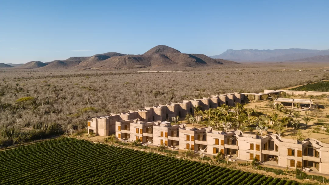 Paradero Todos Santos (13)