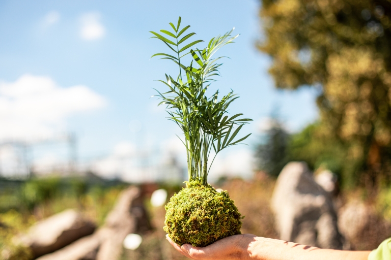 #PlantHealth4Life_8
