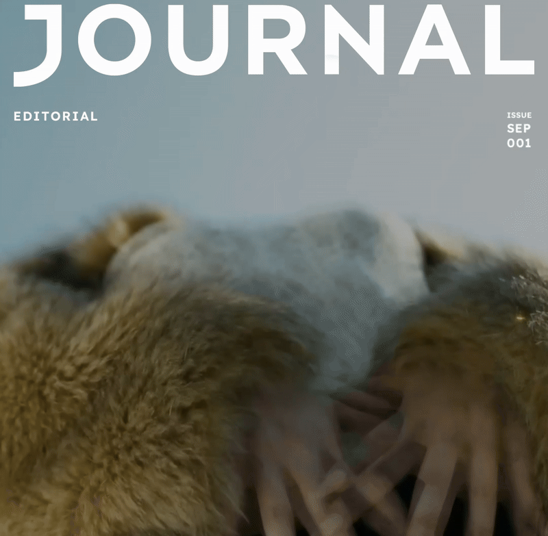 Super Babe x Journal