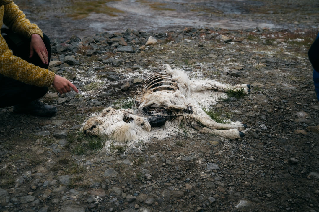 Svalbard