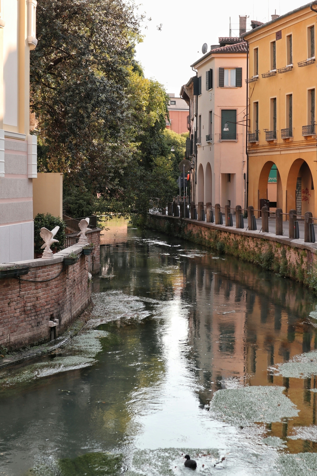Treviso_balint-miko-nVarLsFhPzA-unsplash