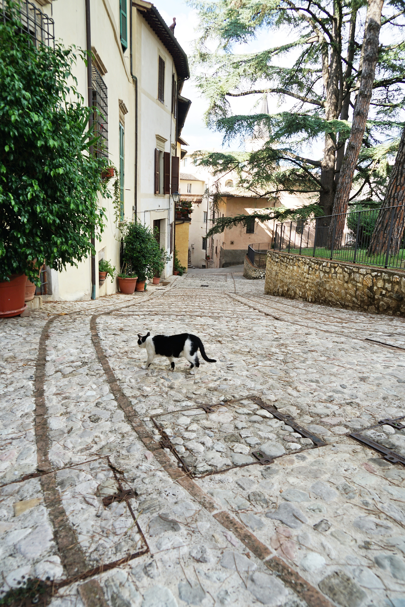 Spoleto