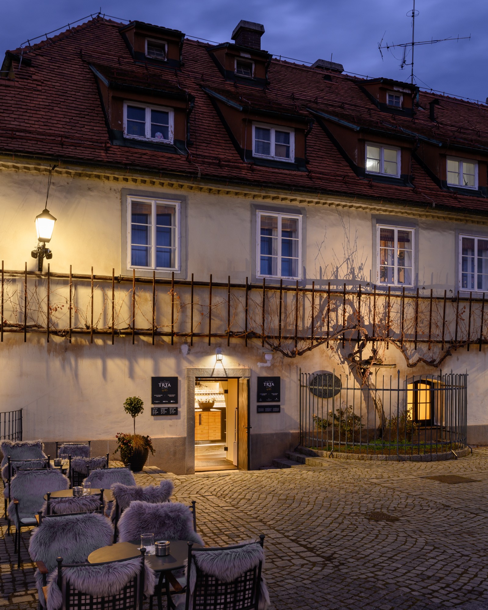 najstarejsa-trta-worlds-oldest-grapevine-maribor-pohorje-slovenija-slovenia-miran-kambic-lowres-2