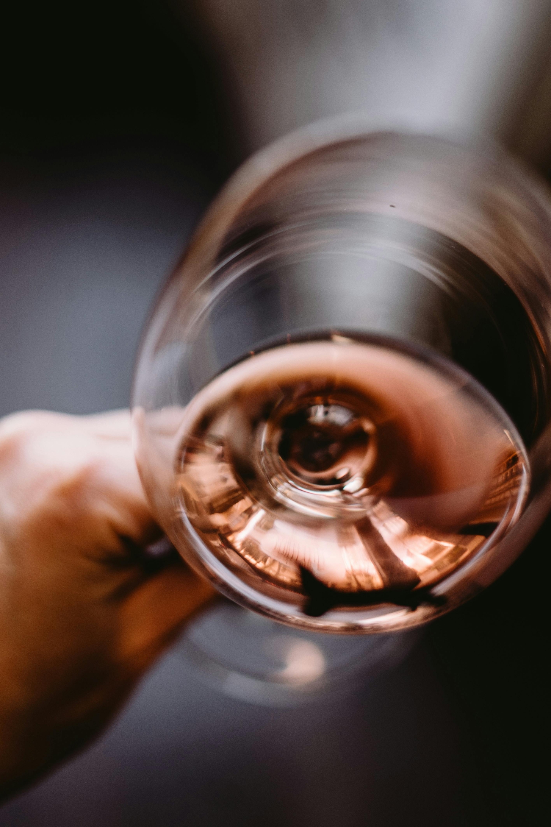 Slavonija i Podravina, wine not!? Pet razloga za posjet ovom hedonističkom festivalu