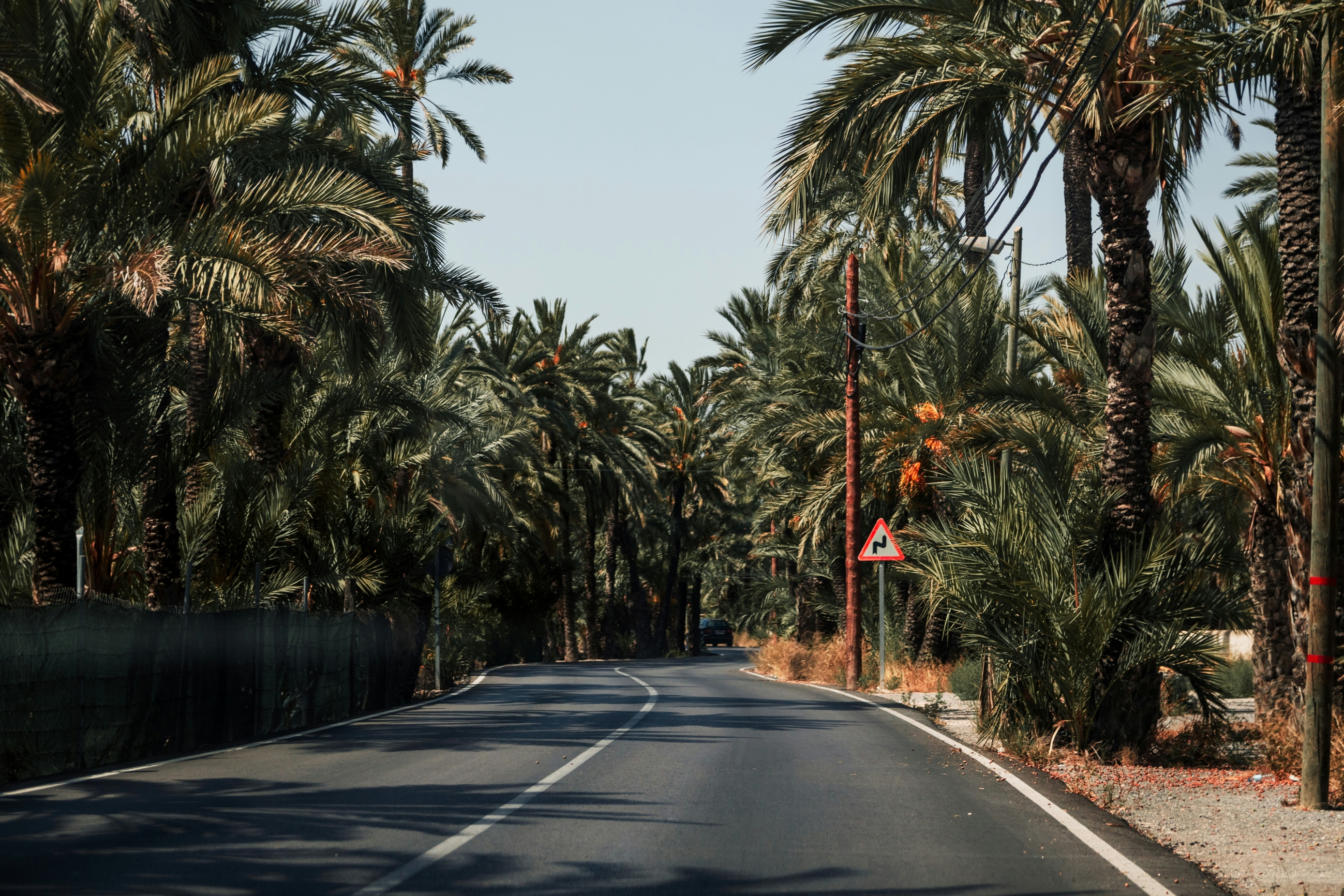 Alicante_graddes-82wRQFKh70k-unsplash