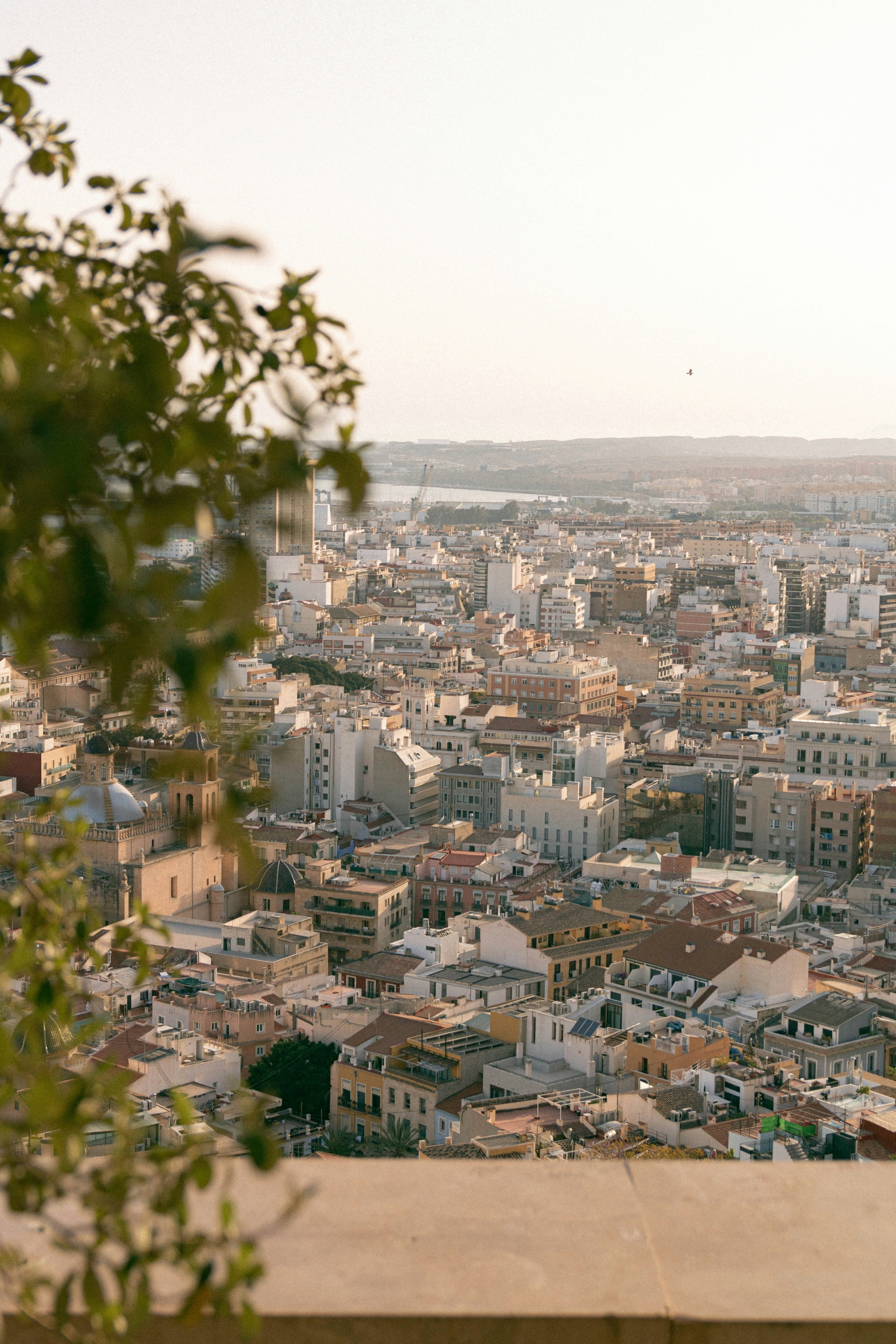 Alicante_michal-kubiak-z4H_ZUNPz7I-unsplash