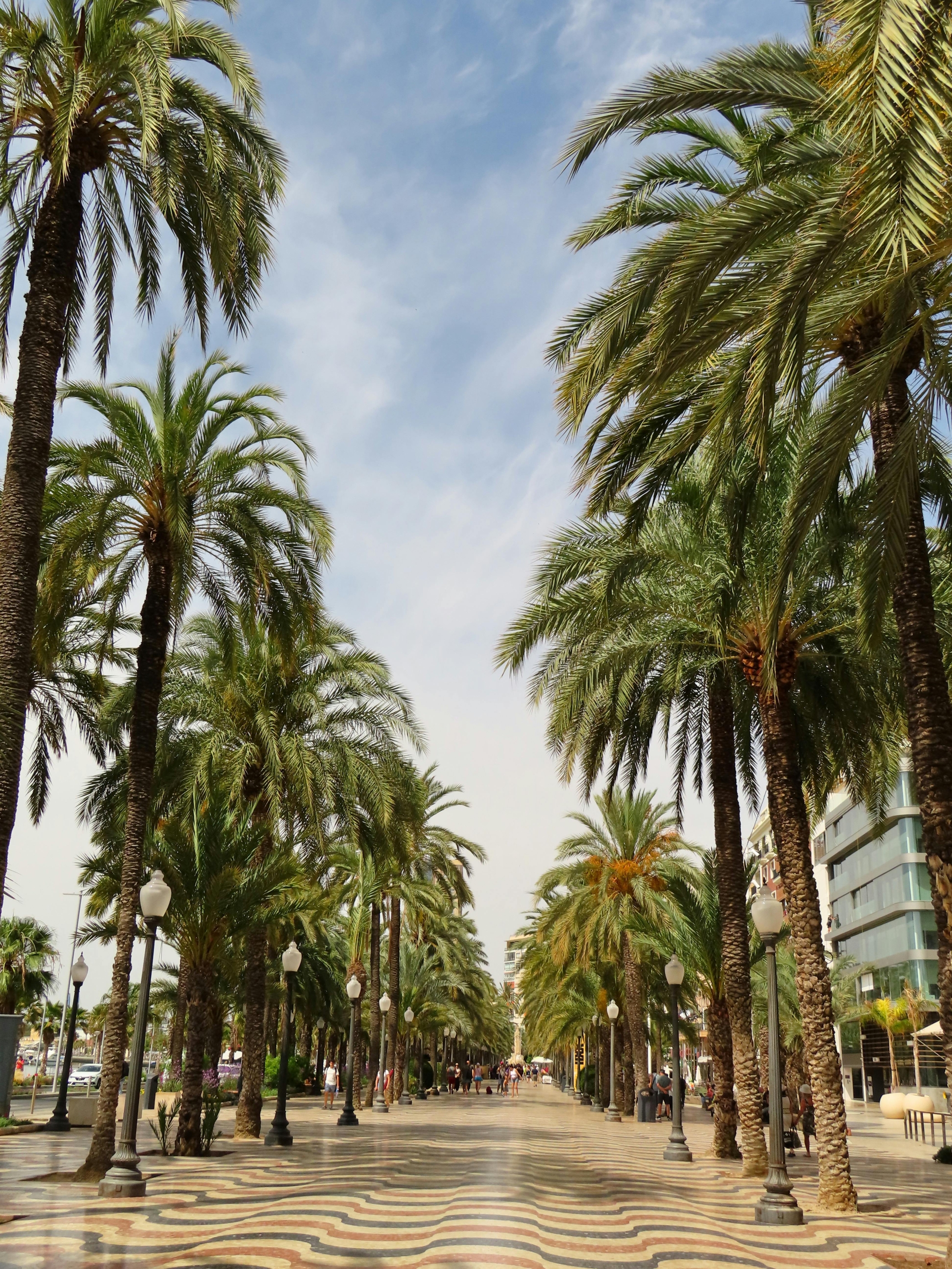 Alicante_pexels-vitoria-zanella-197678510-32531561