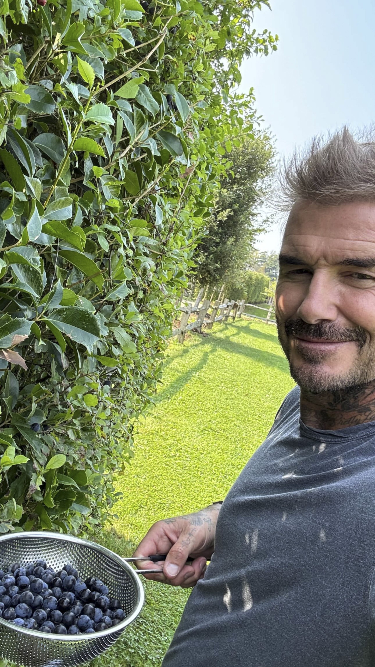 David-Beckham-_profimedia-0905759454