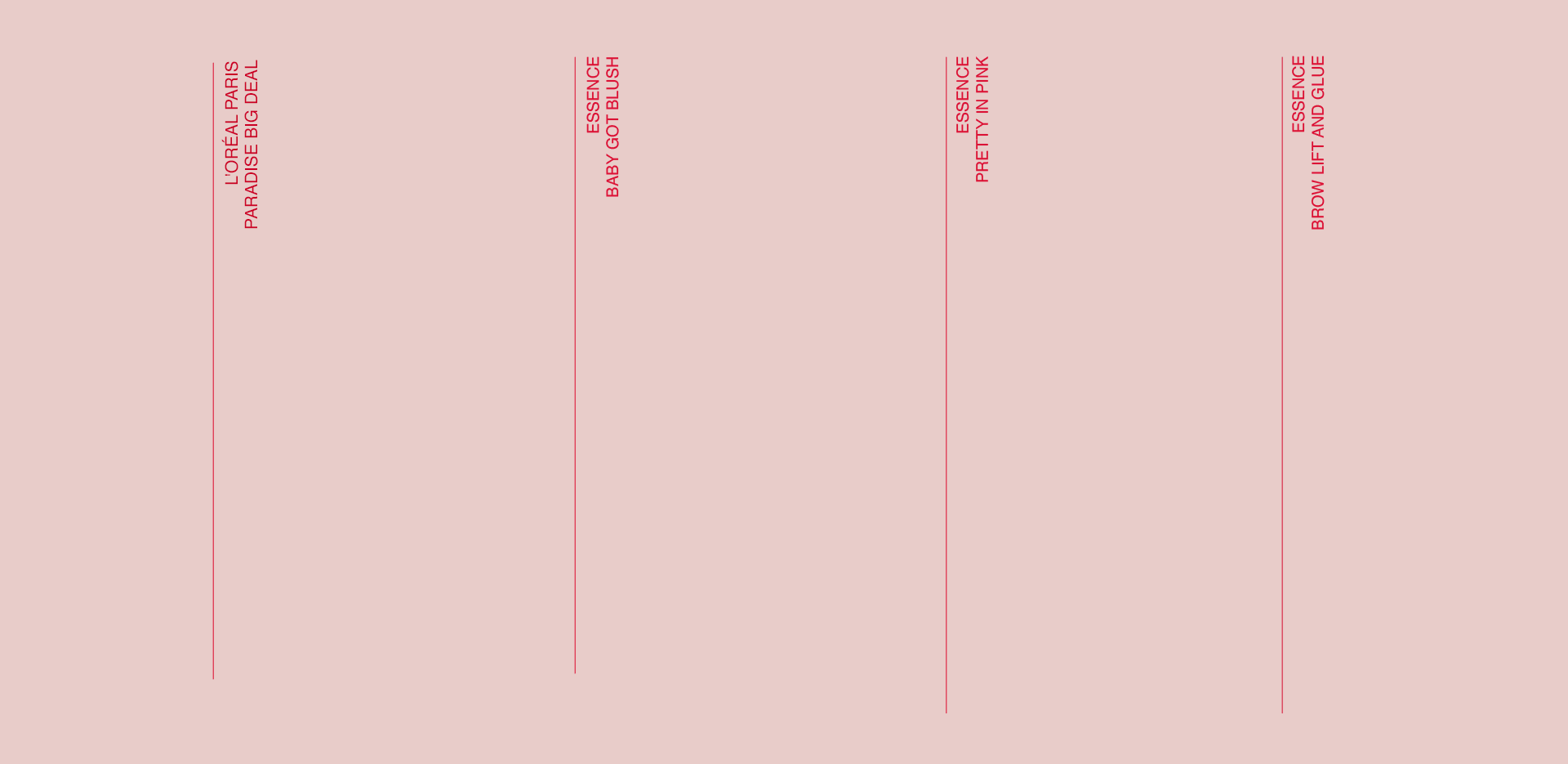 Journal Pink Bag Gif