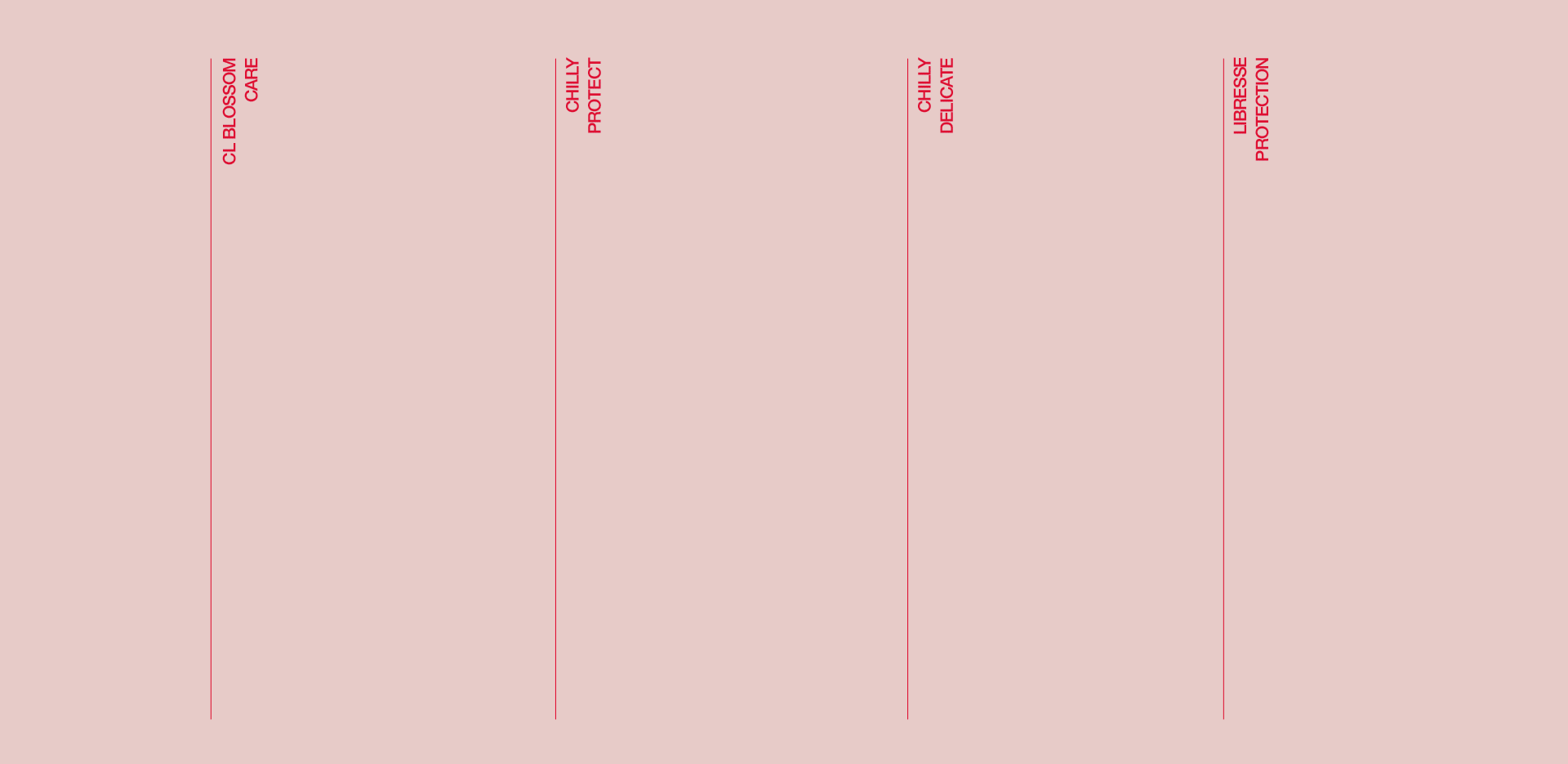 Journal Pink Bag
