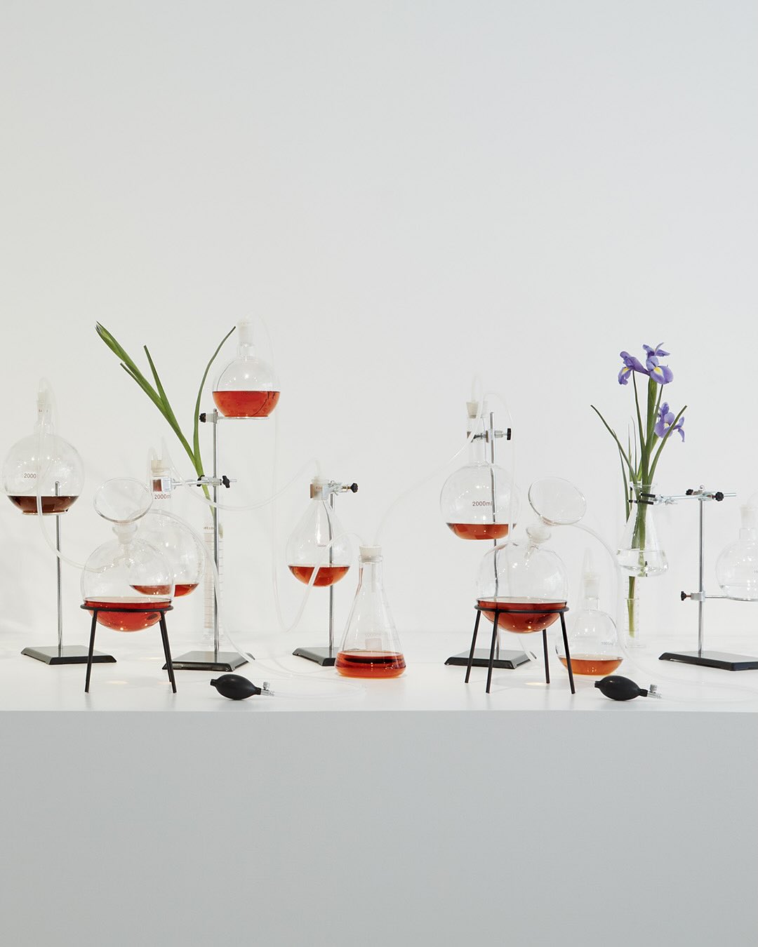 LOEWE Crafted Collection (1)