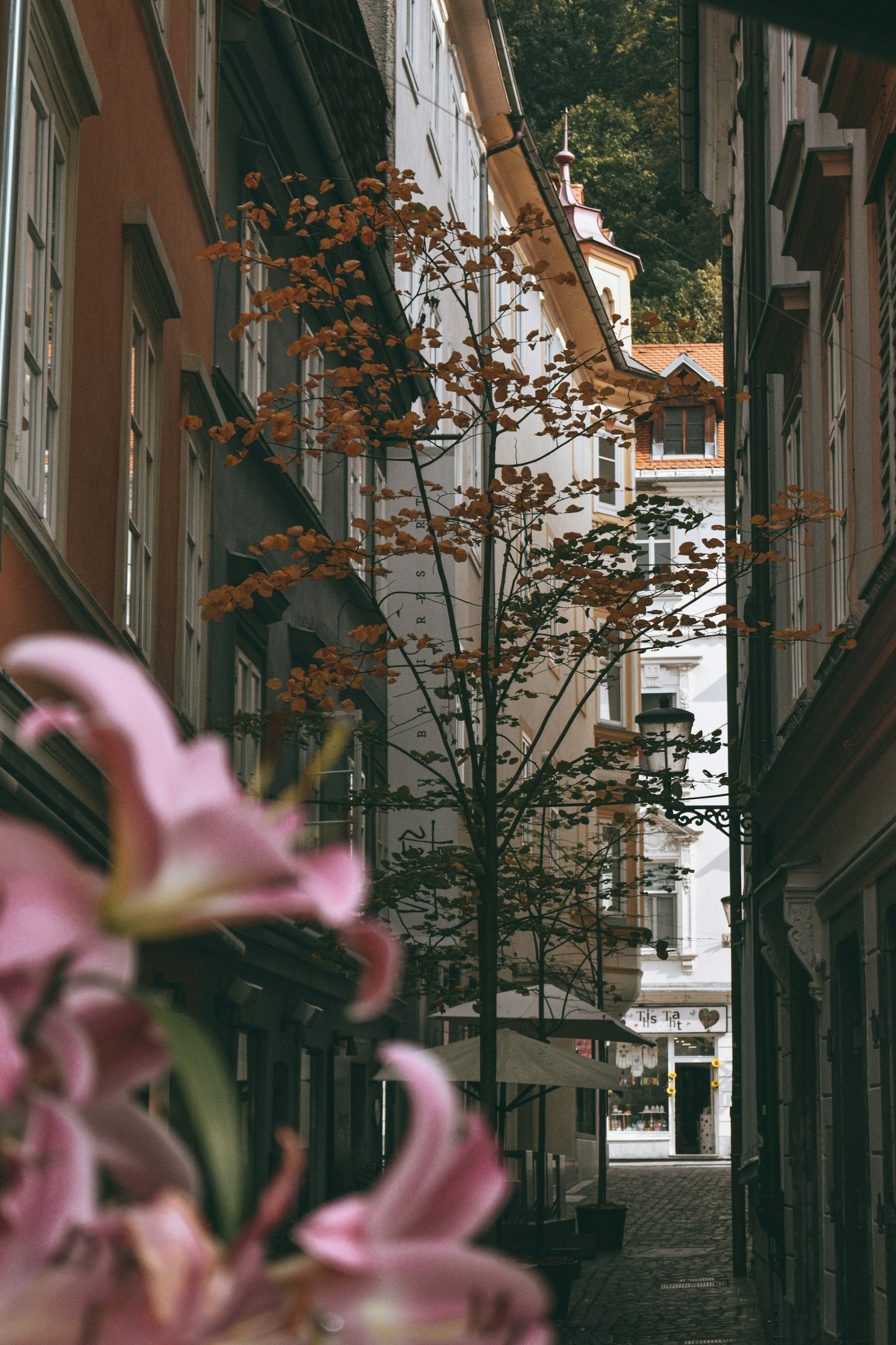 Ljubljana