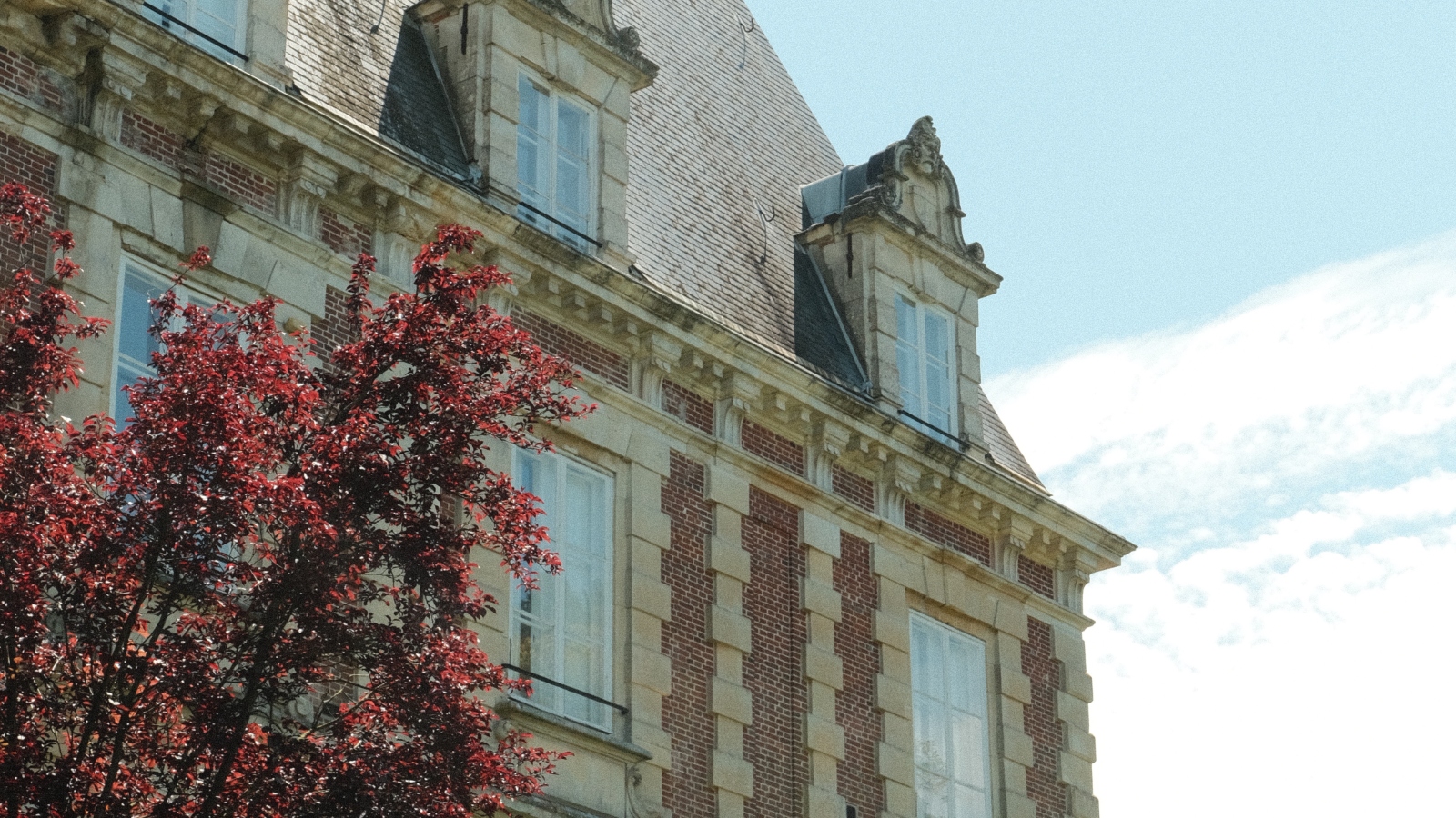 Journal knjiga mjeseca: Mansfield Park, Jane Austen