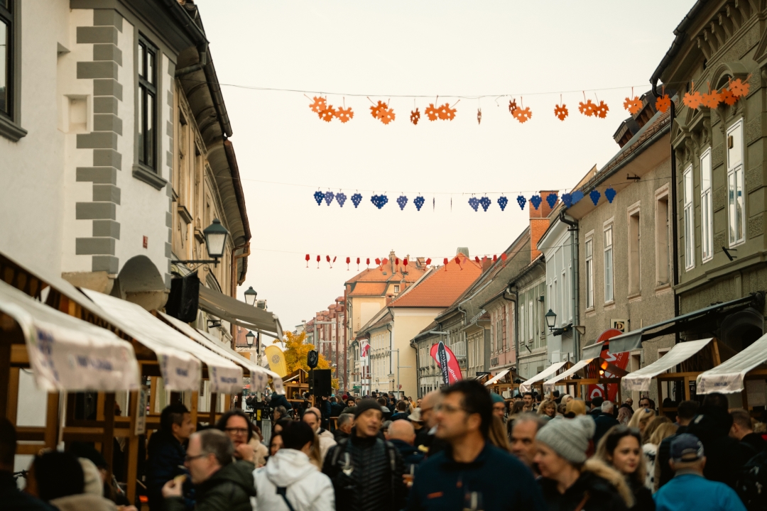 Martinovanje_Koroška-cesta_Klemen-Golob