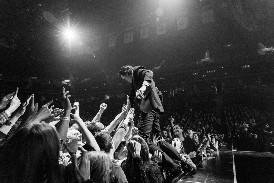 Nick cave