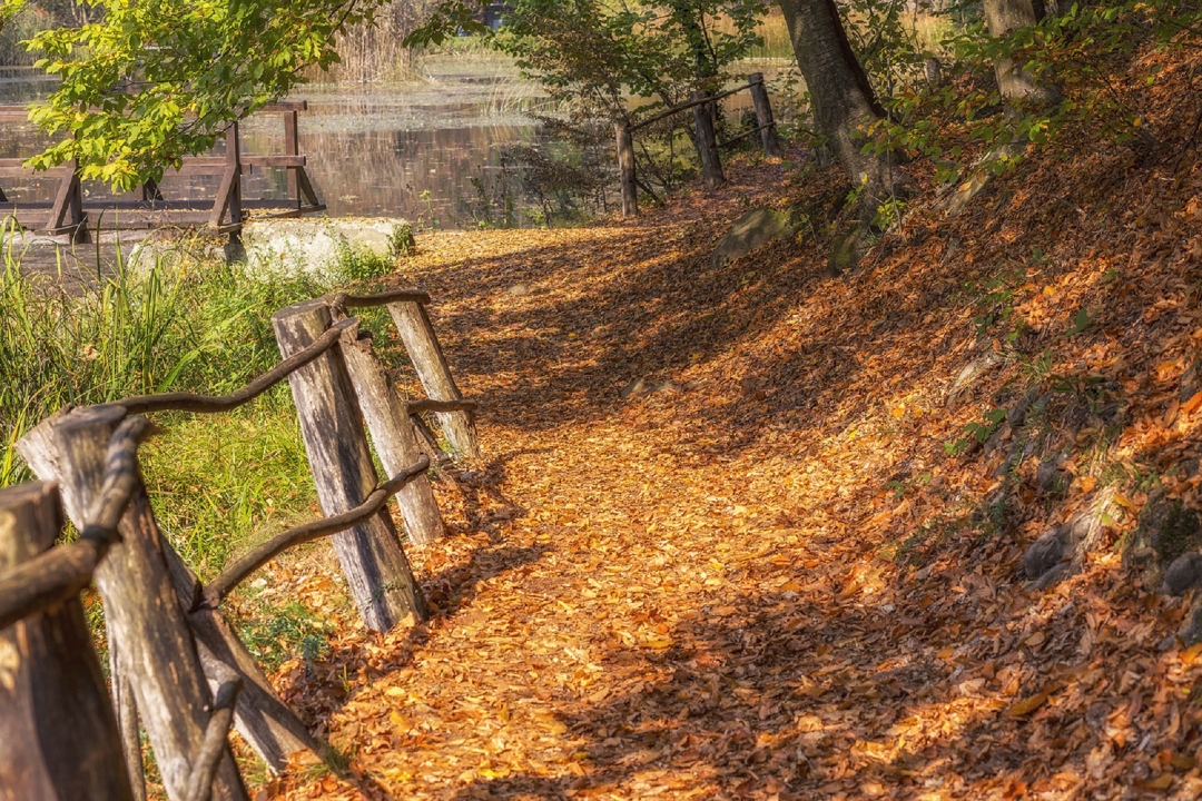 Park šuma Jankovac