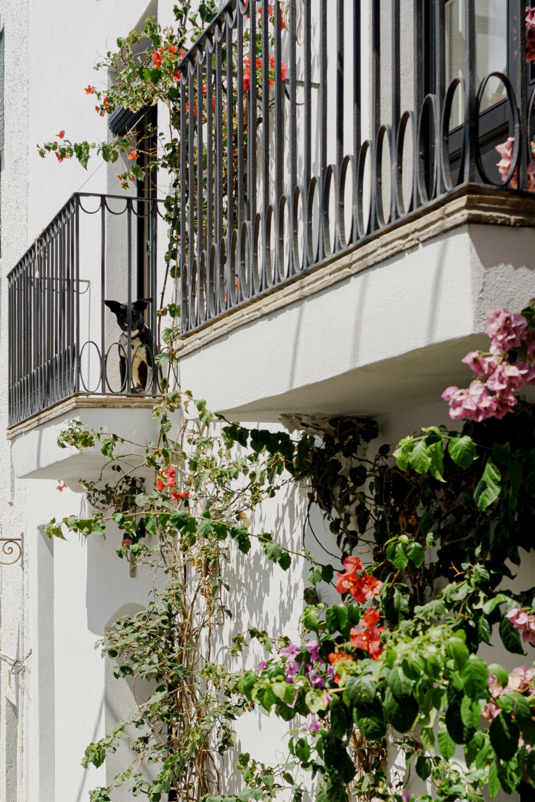 Ribarska kuća u Španjolskoj_bea-portabella-jordi-pages-david-zarzoso (1)