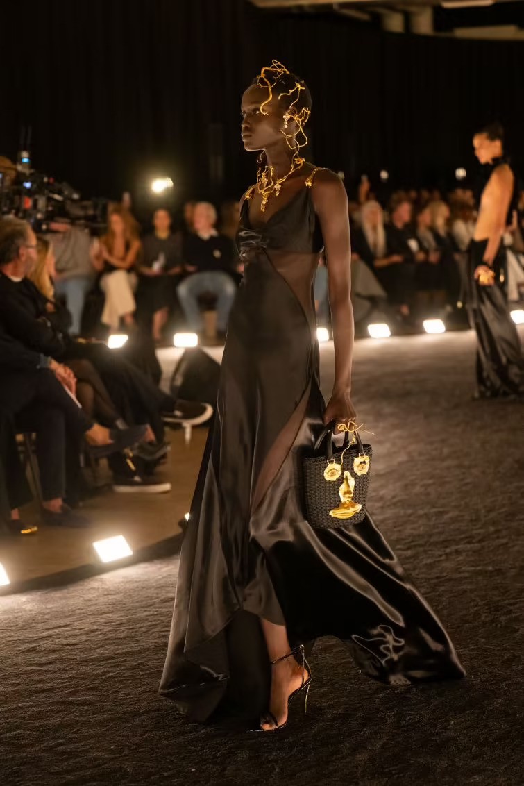 Schiaparelli