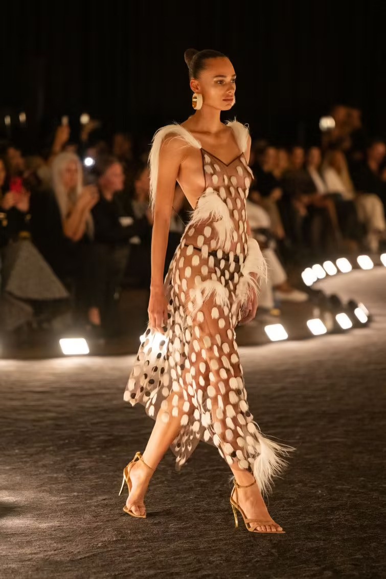 Schiaparelli