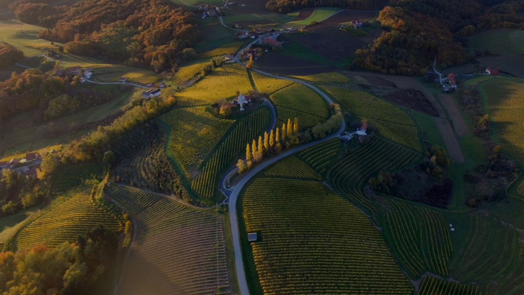 Štajerska, Slovenija