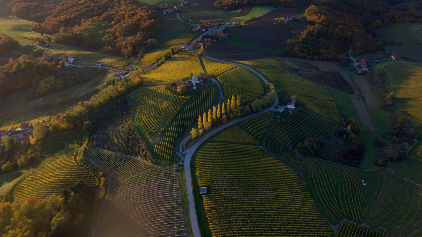 Štajerska, Slovenija