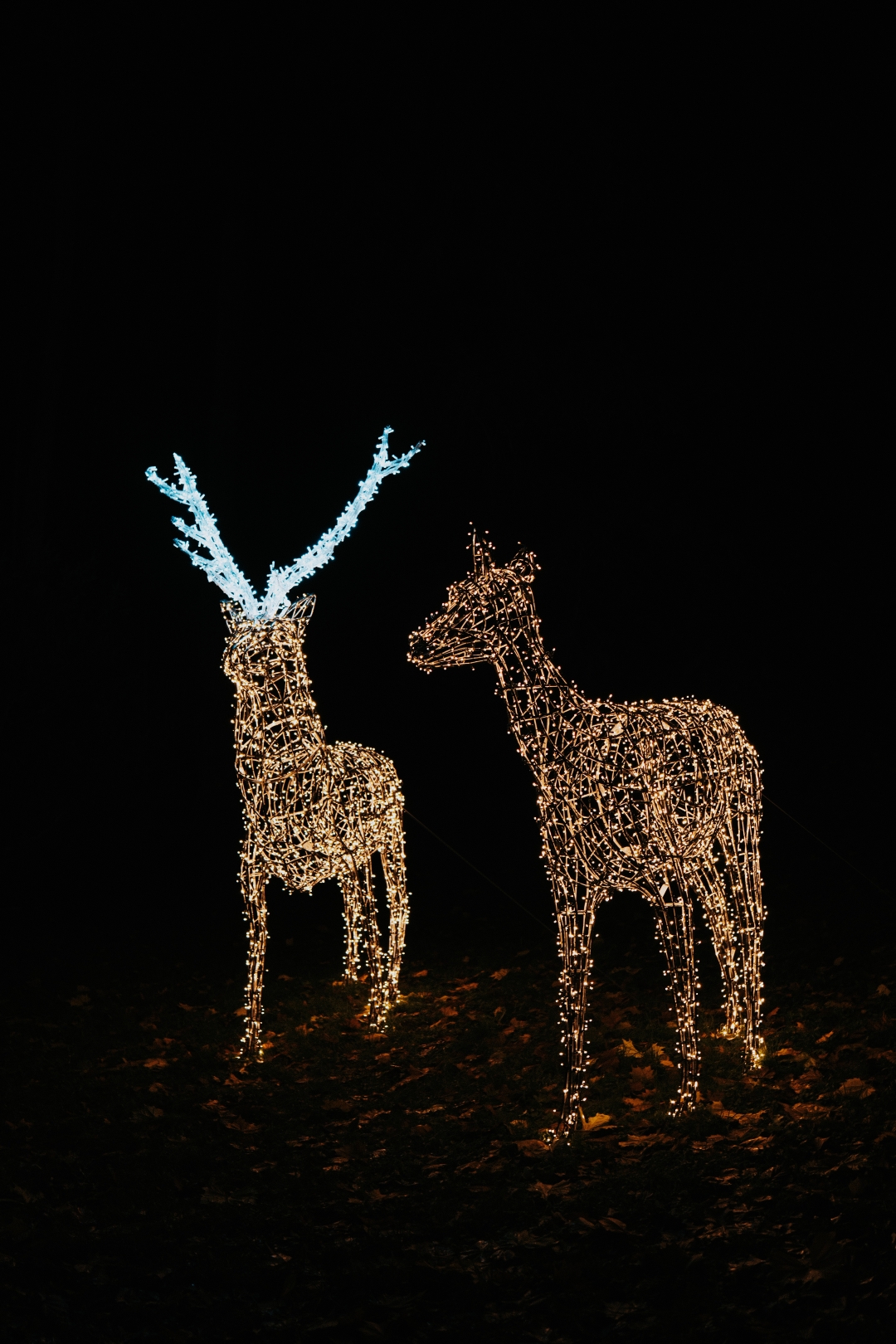 Trakošćan, Dvorac svjetla