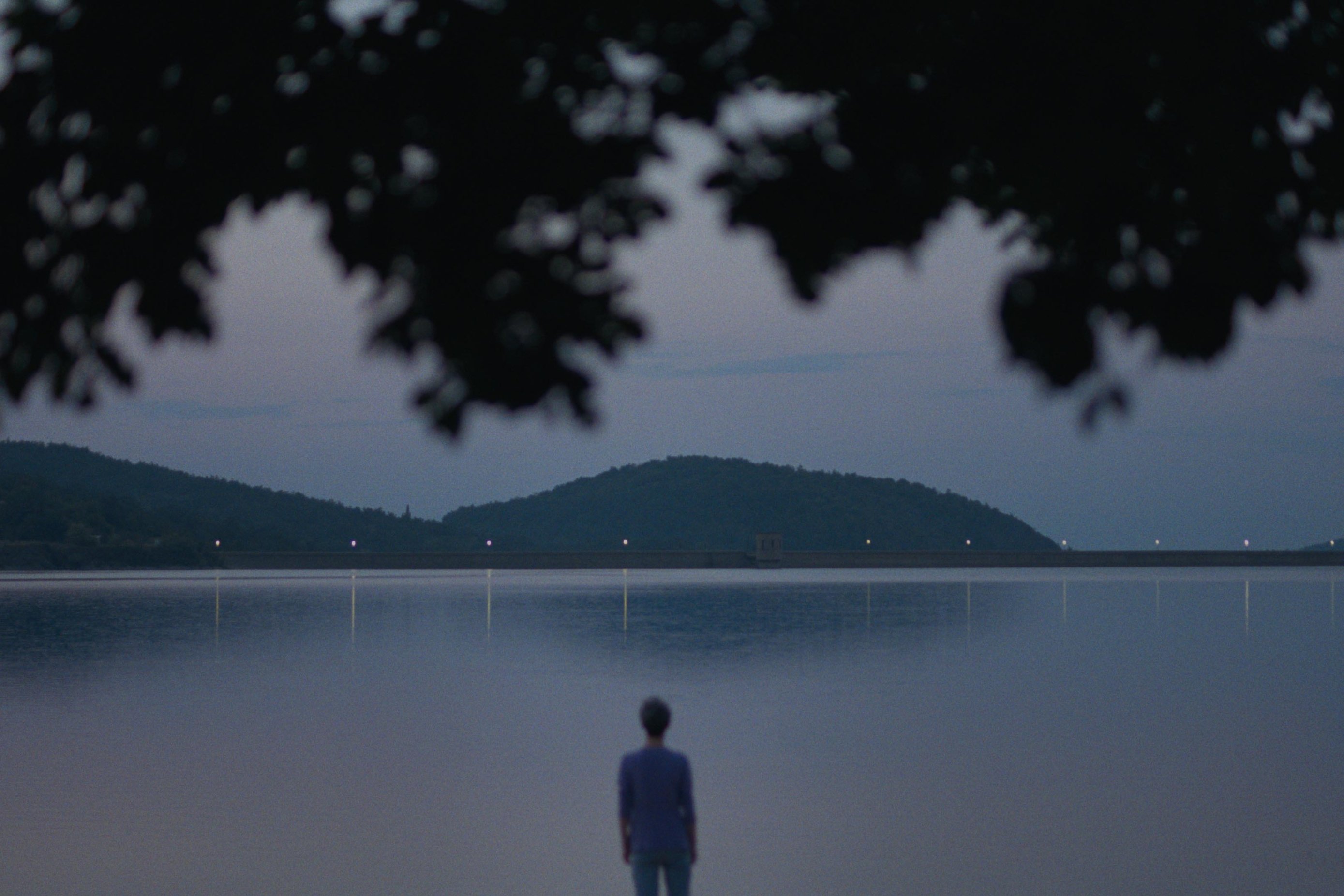 Iskren, poetičan, dramatičan… Tako opisuju regionalni filmski naslov koji niže nagrade. Stiže u kina