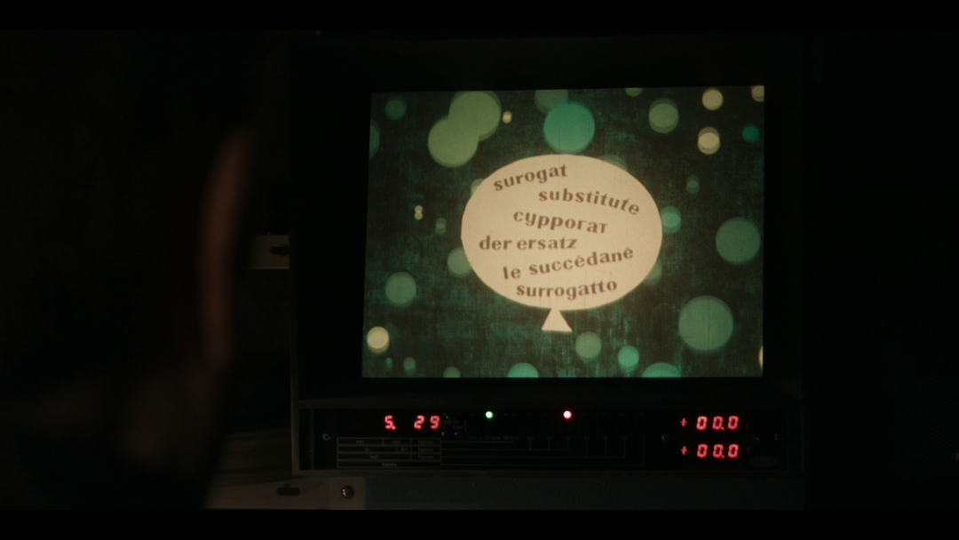 Vude, ti si pobijedio!