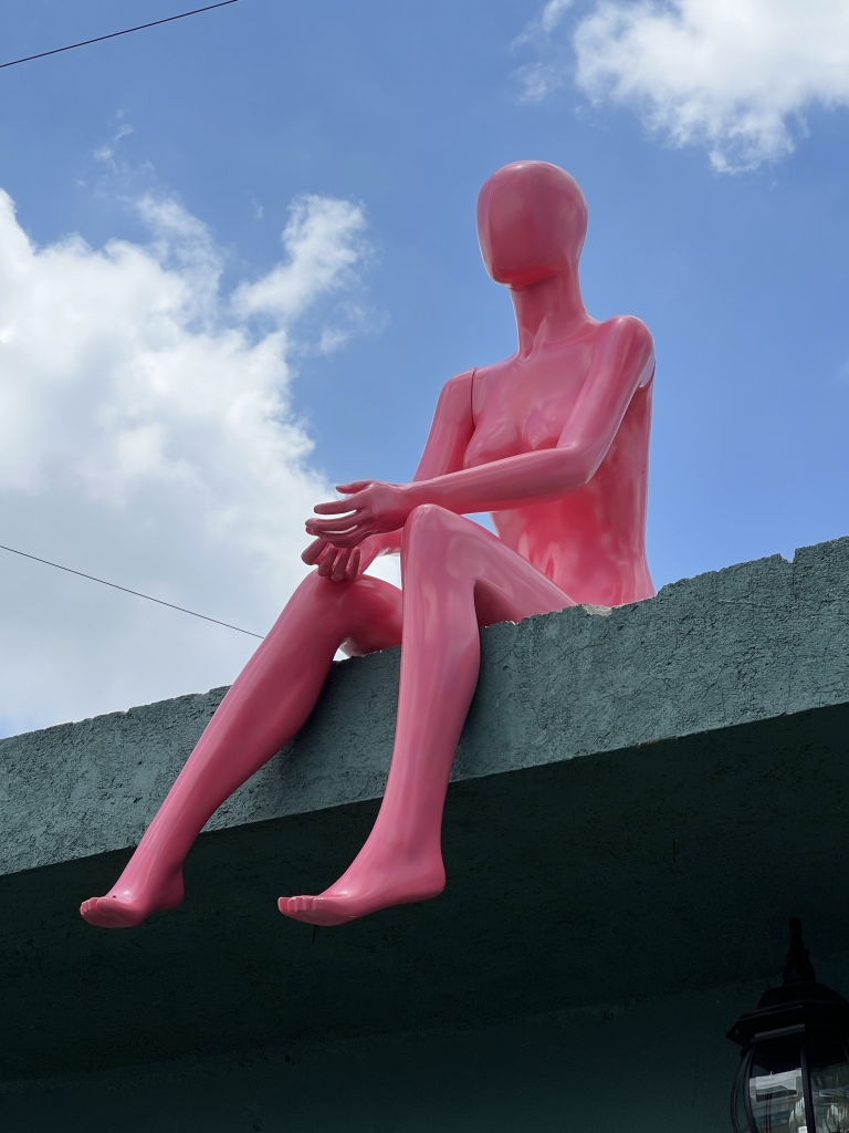 dijagnoza-teška-bolest-pink-monht4