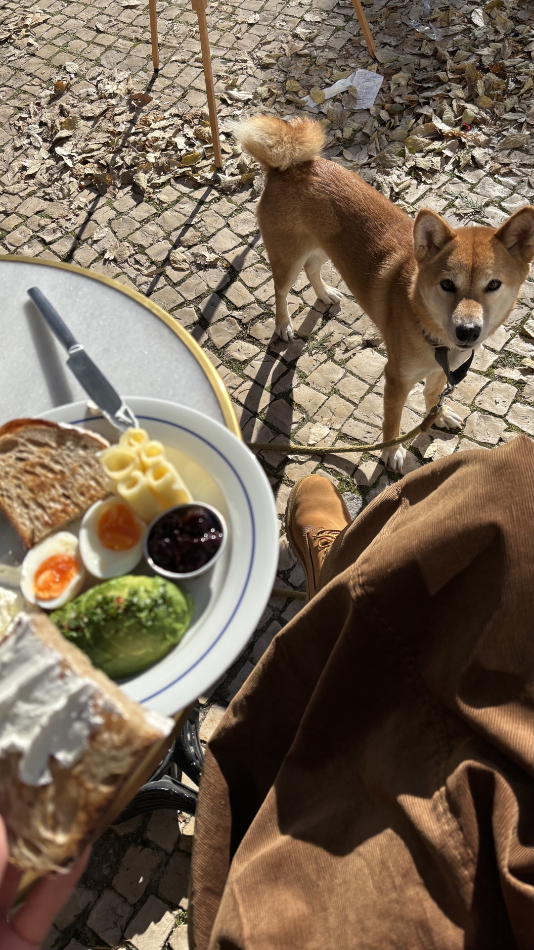 hrana protiv stresa_Dupe (2)