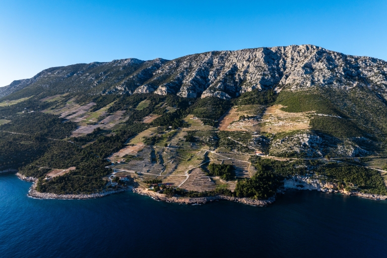 peljesac_vinogradi_cropix