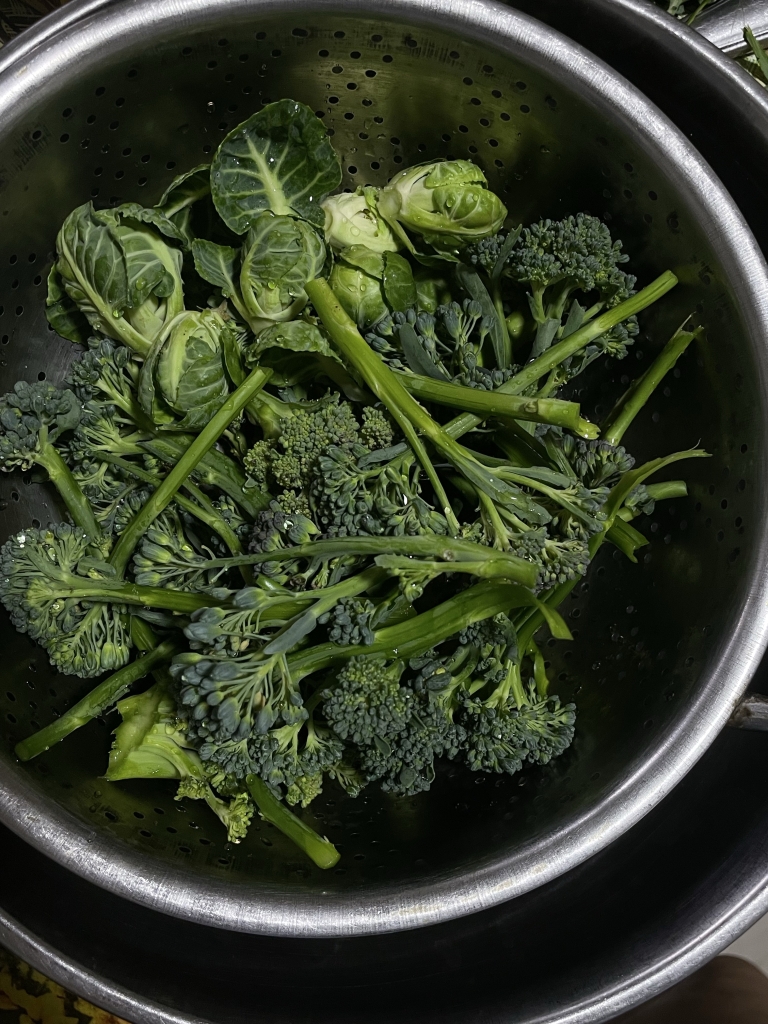 prehrana za hormonsku ravnotežu