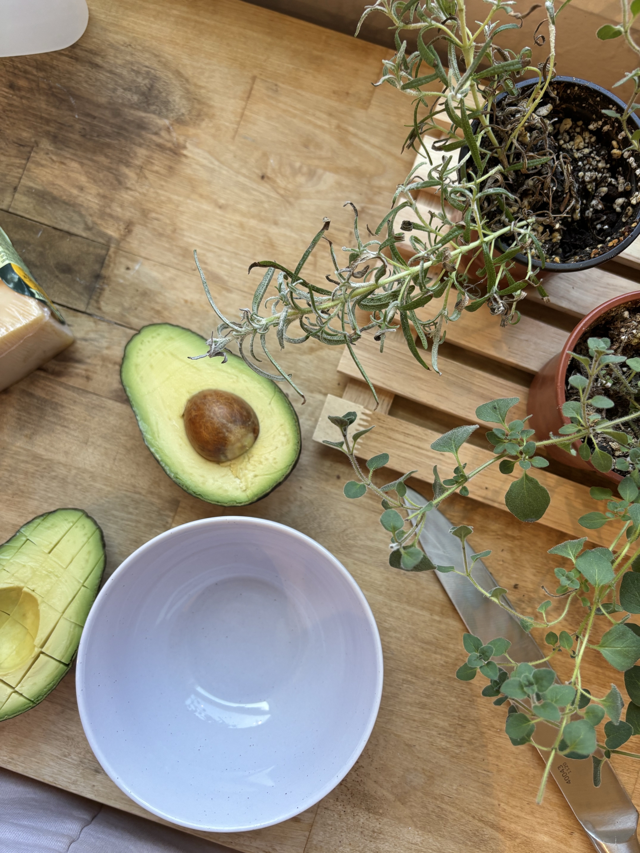 prehrana za hormonsku ravnotežu