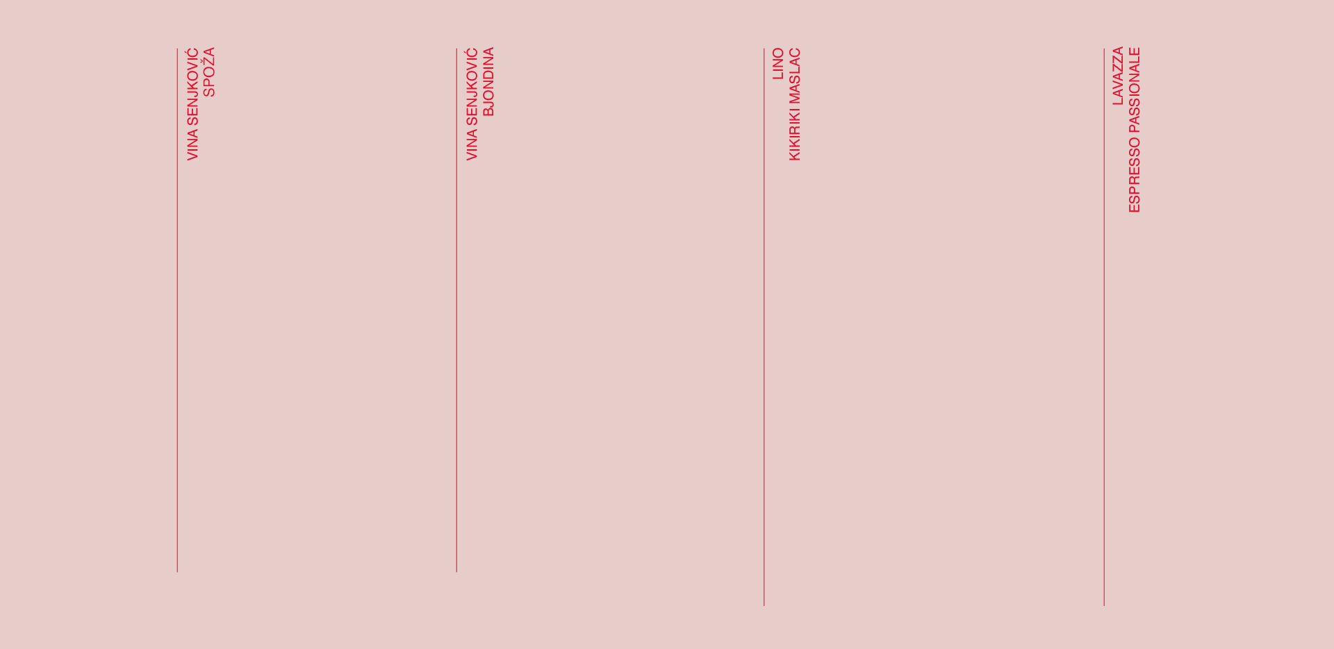 Journal Pink Bag