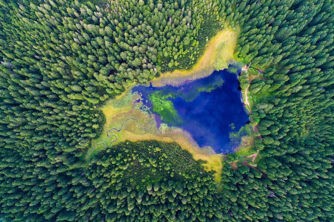 skrivena slovenska jezera_naslovna