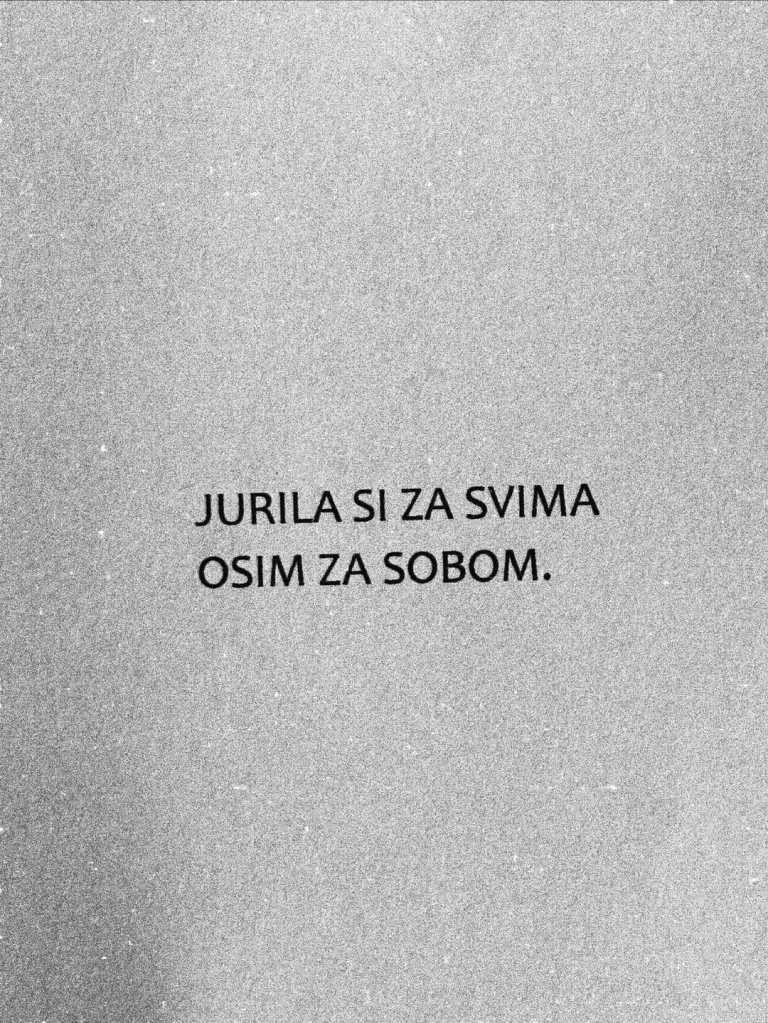 stevan-daničić-journal.hr1