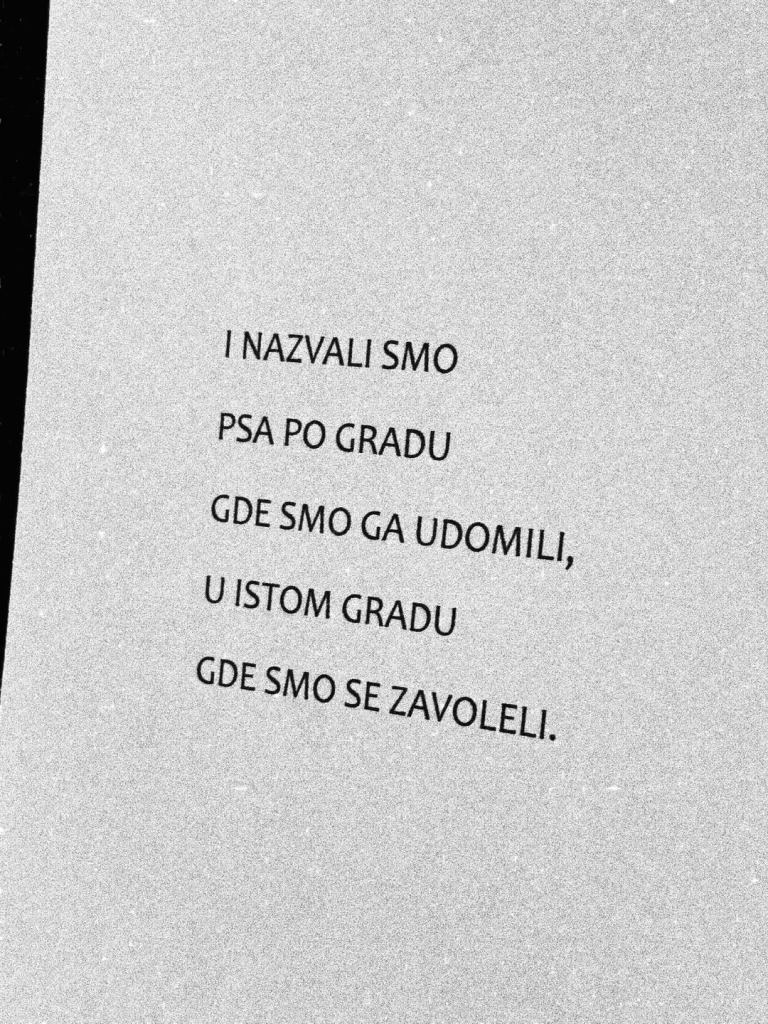 stevan-daničić-journal.hr3