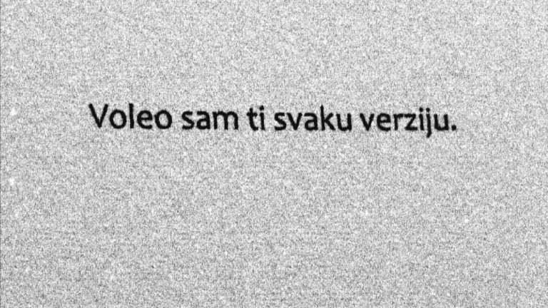 stevan-danicic-naslovna-2