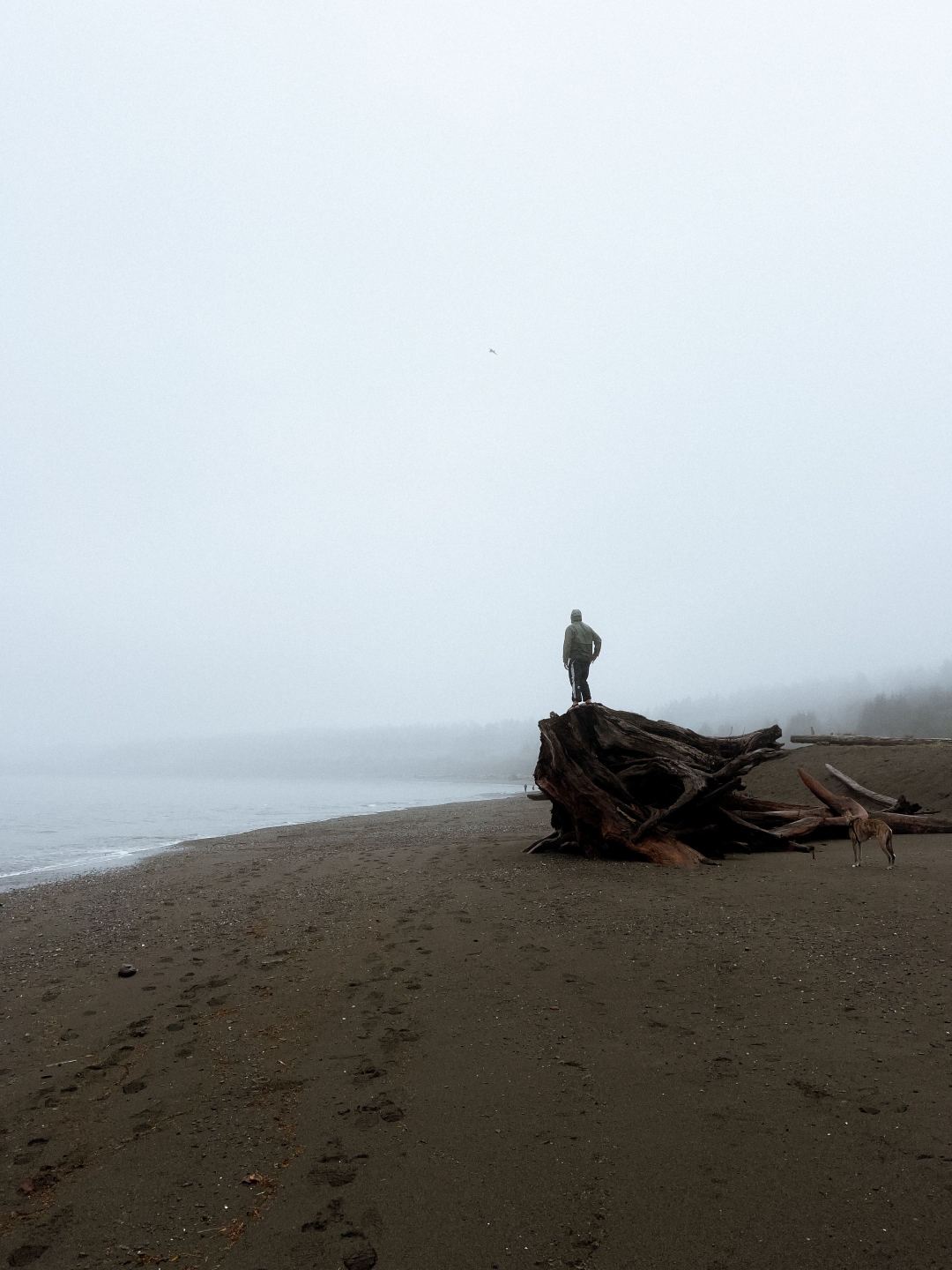 Što je tihi burnout i koji su znakovi koji ukazuju na to da nije riječ samo o umoru?