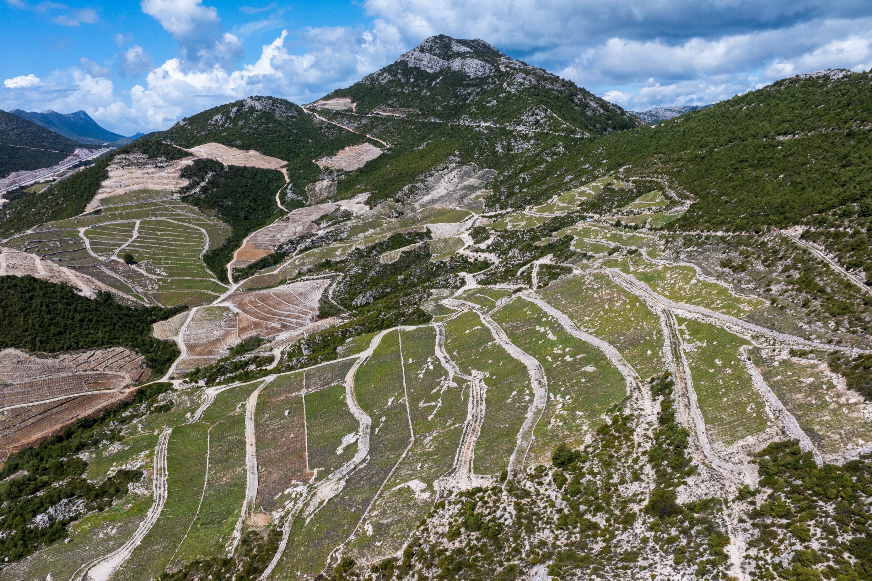 vinari_peljesac2_cropix-