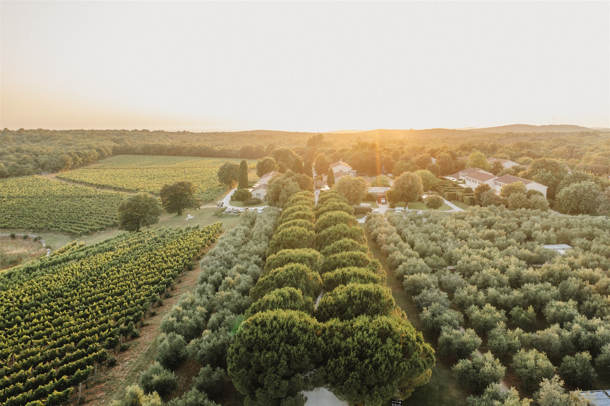 Meneghetti Wine Hotel & Winery