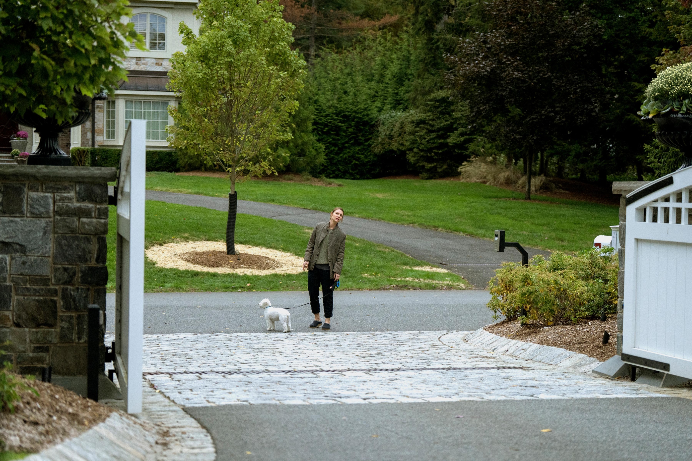 Hit naslov ovog studenog na Netflixu trebala bi biti psihološka miniserija The Beast in Me. Evo što donosi
