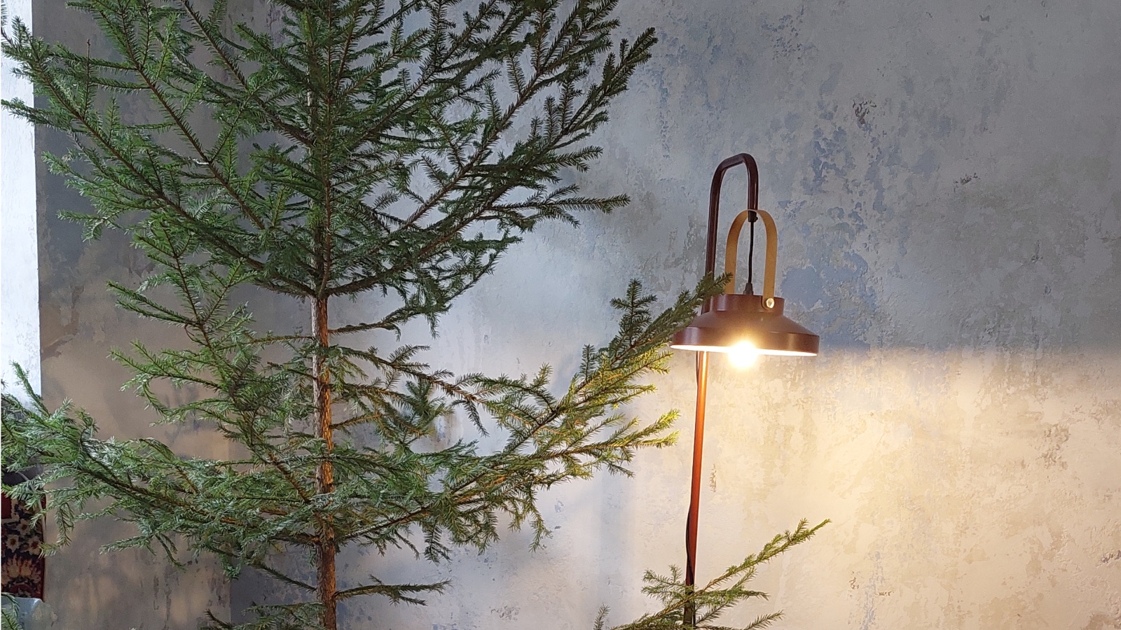 5 biljaka koje će ove godine biti hit u našim blagdanskim vazama