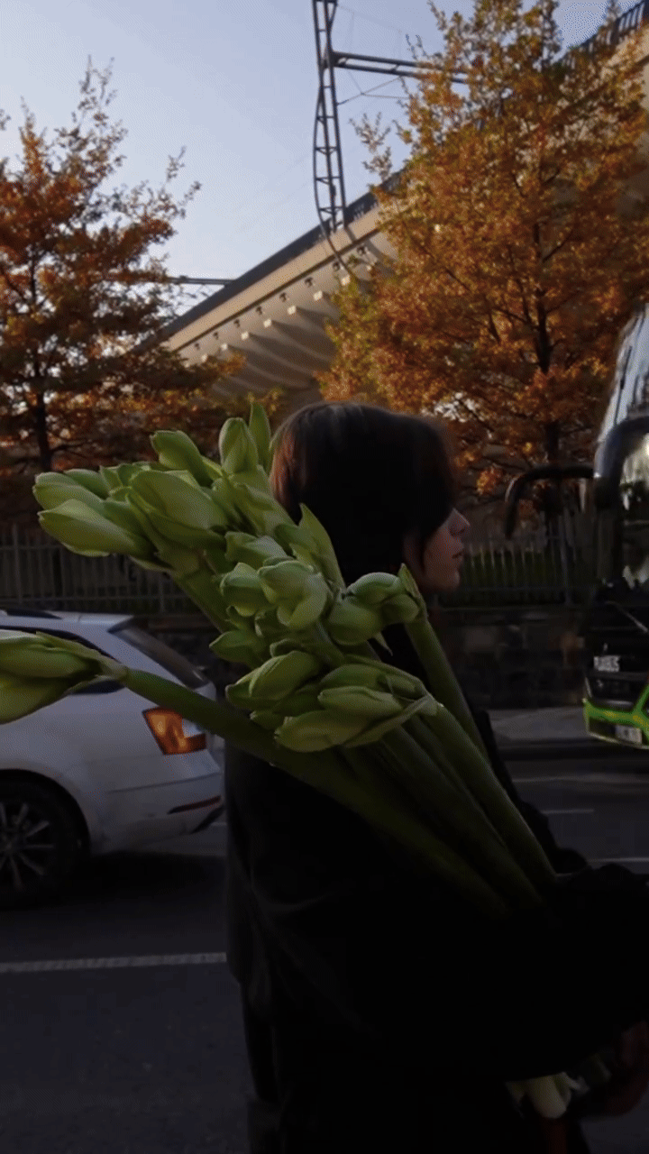 5 biljaka koje će ove godine biti hit u našim blagdanskim vazama