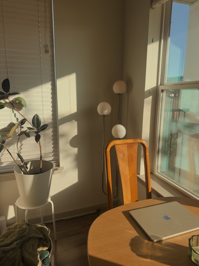 biljke-za-prodkutivnost-journal1