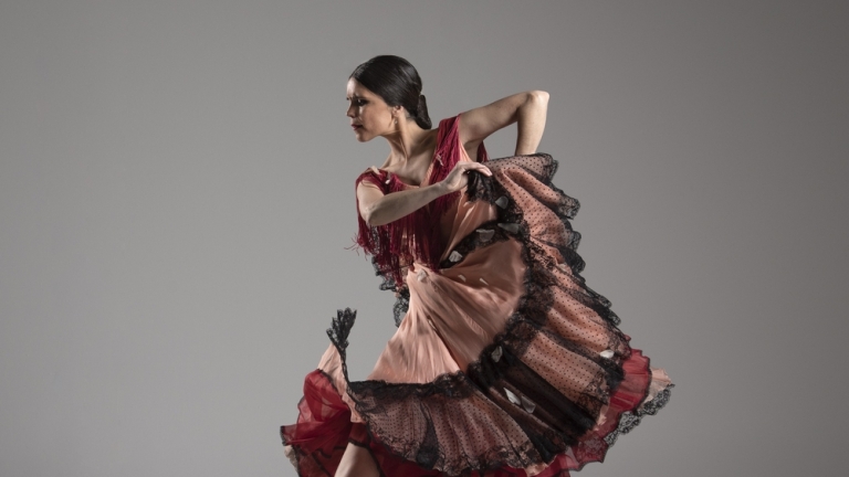 flamenco-lisinski-2
