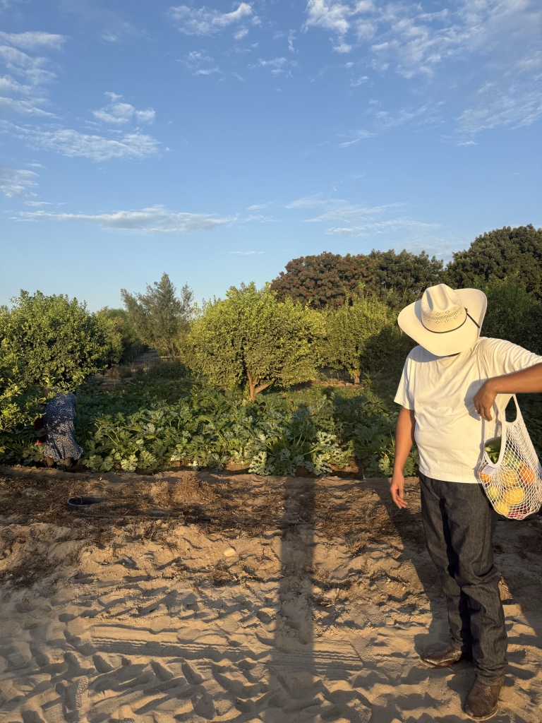 muškarci prijateljstva1