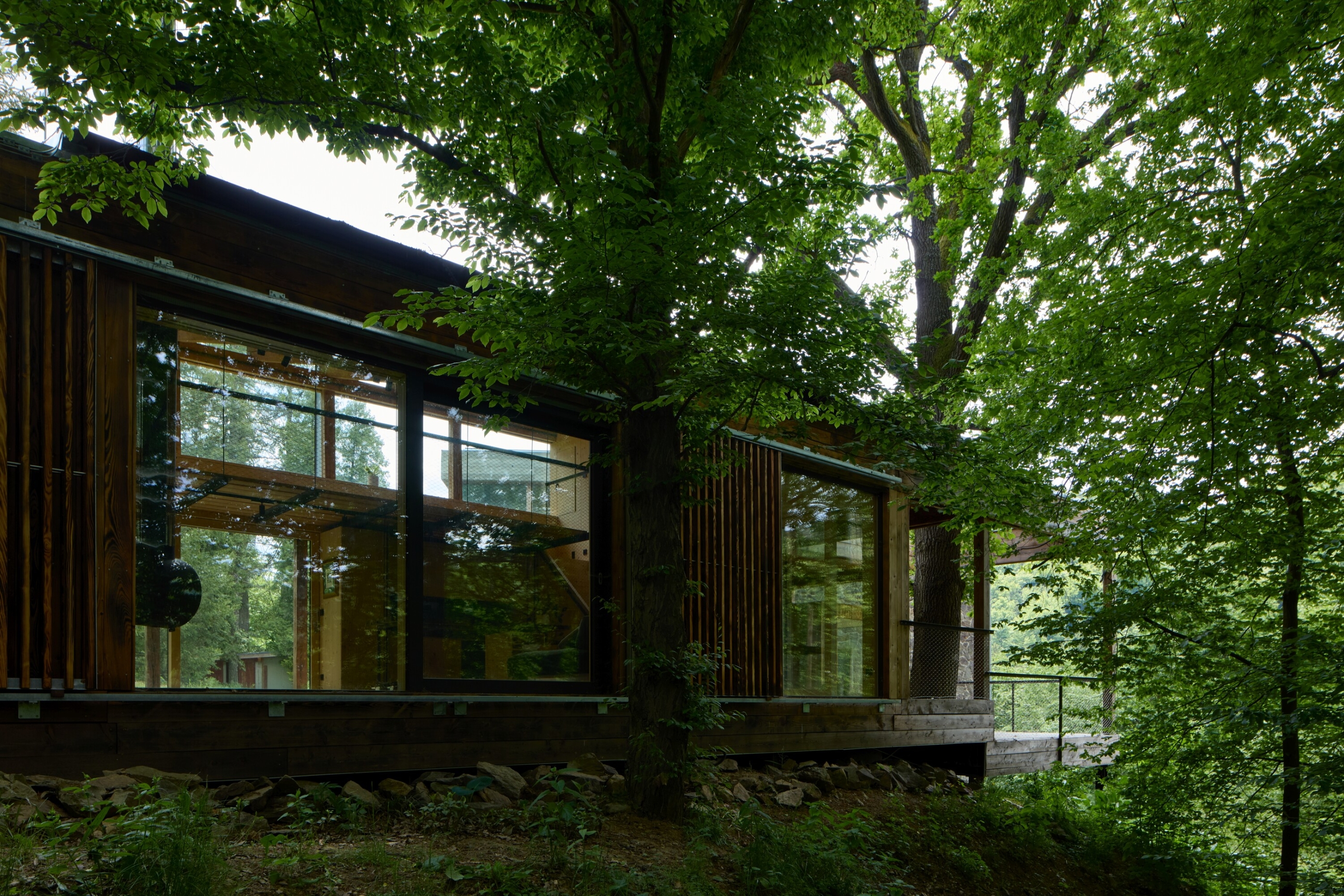 obiteljska kuća_paiva-architekti-mednik-house-radek-ulehla-01 (20)